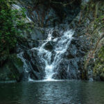 Billy Barquedier National Park