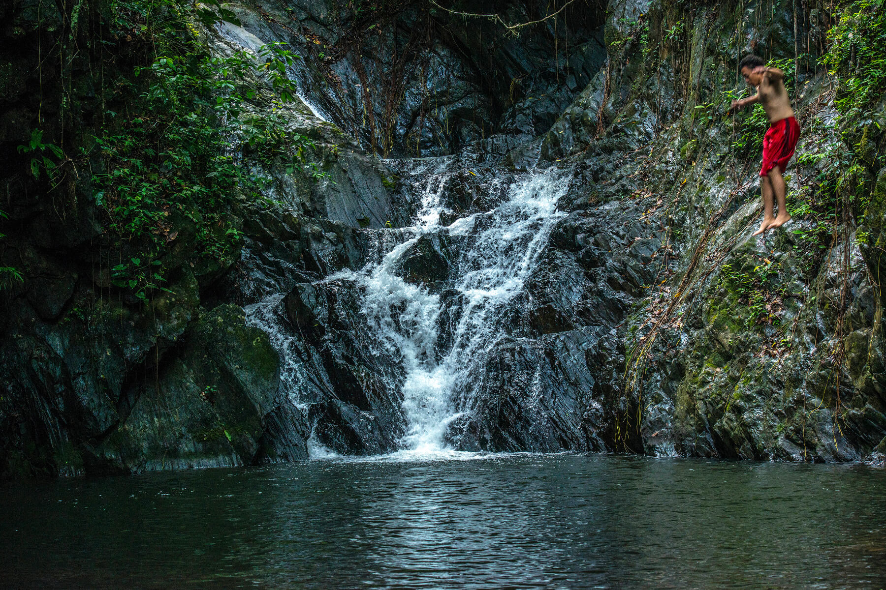 Billy Barquedier National Park