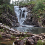 Bladen Forest Reserve