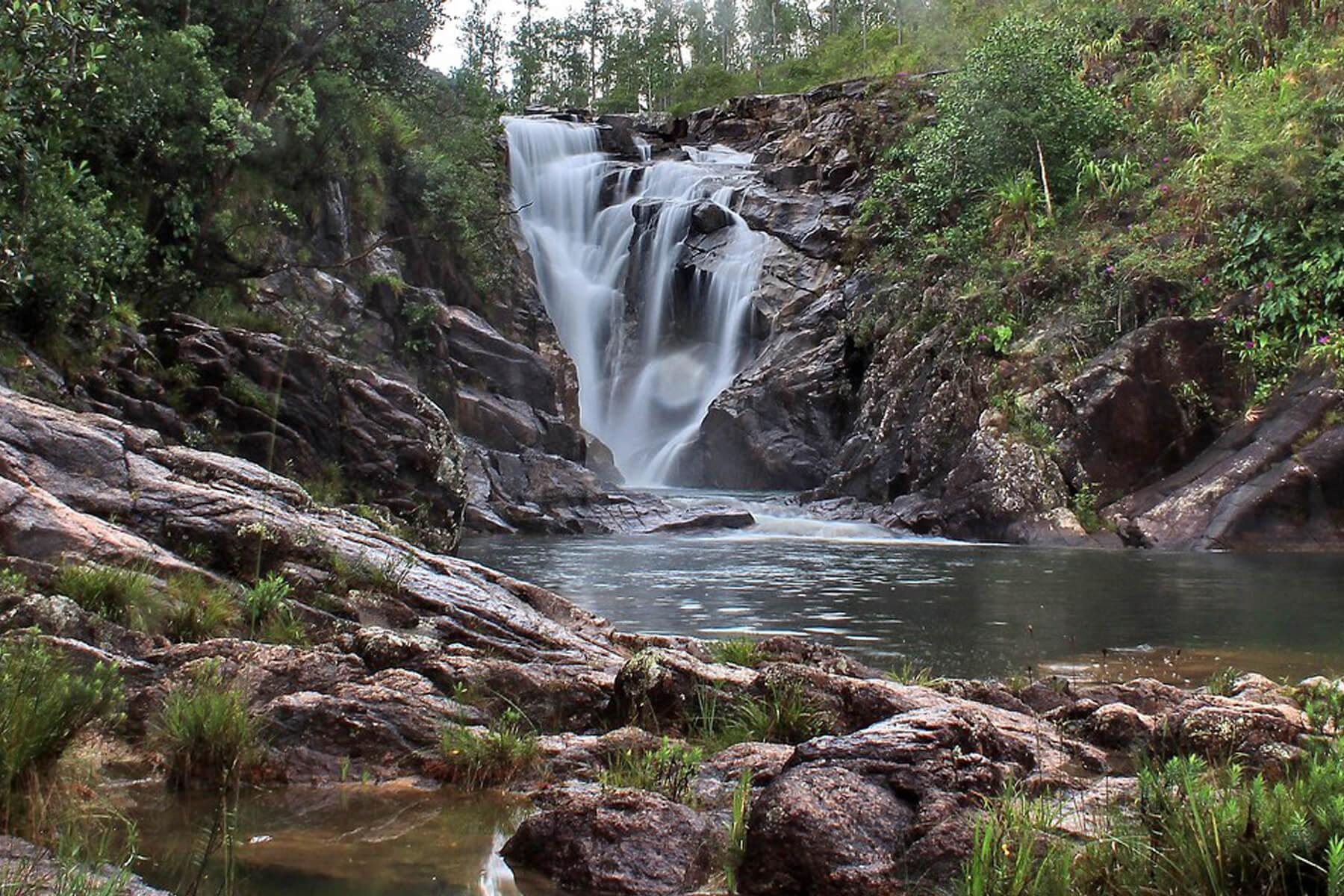 布萊登森林保護區