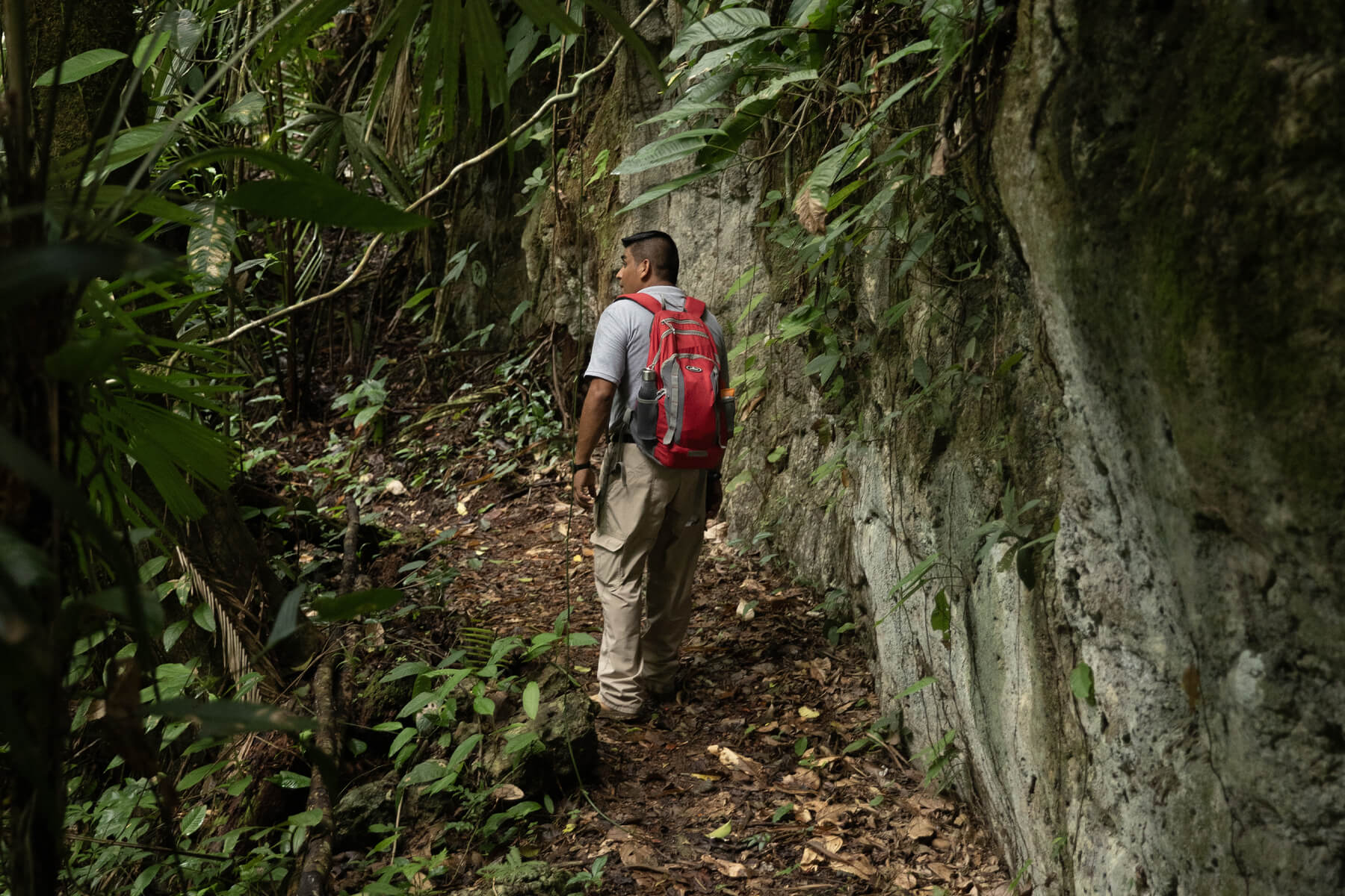 Columbia Forest Reserve