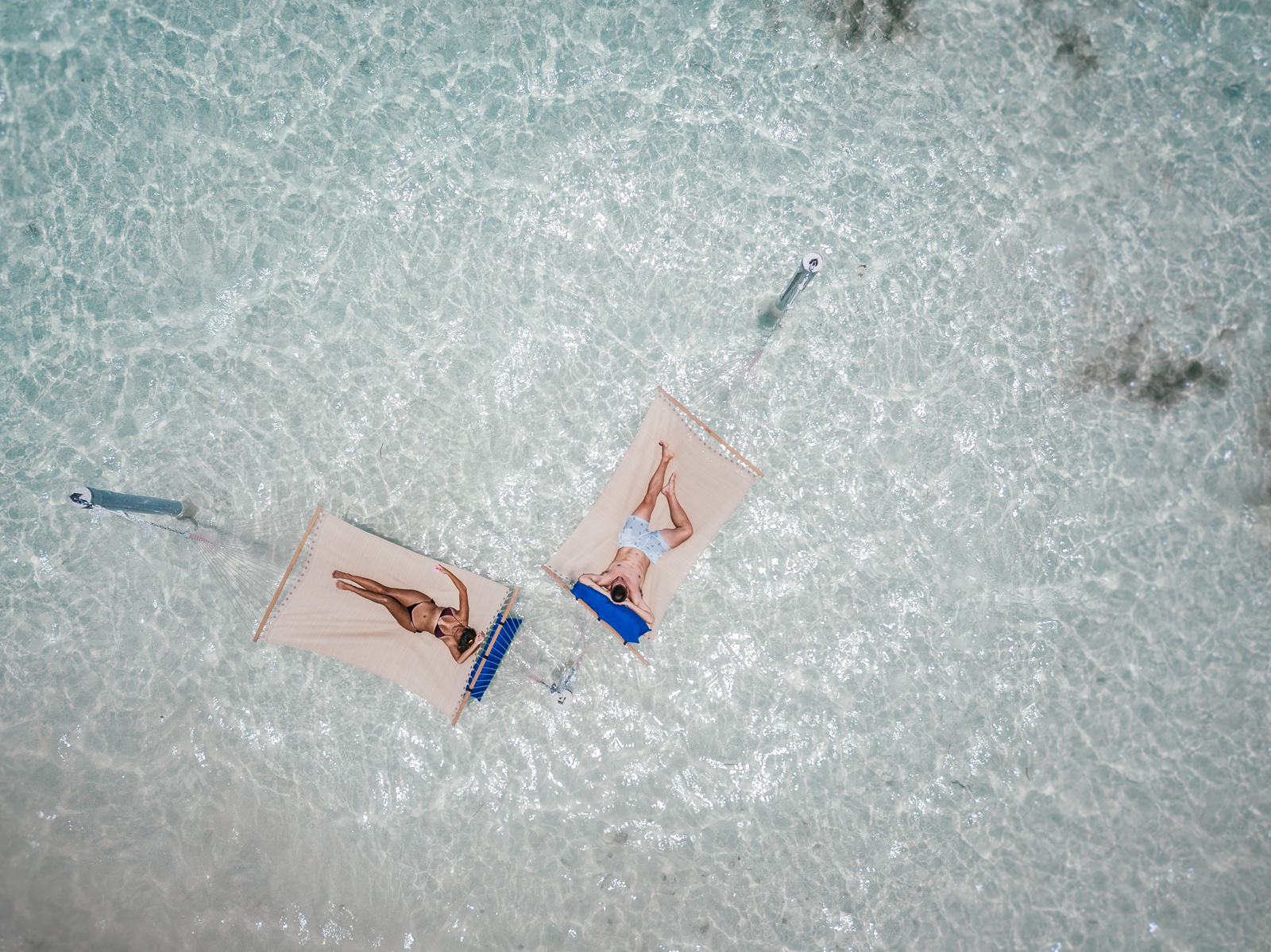 Over the sea hammocks