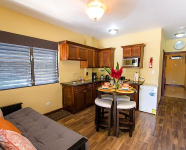 Apartment 1 Kitchen and Living Room