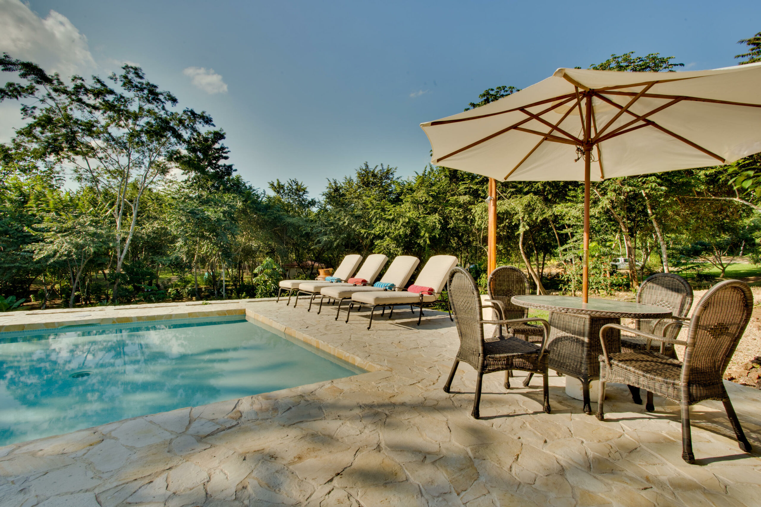 Lilly Pool