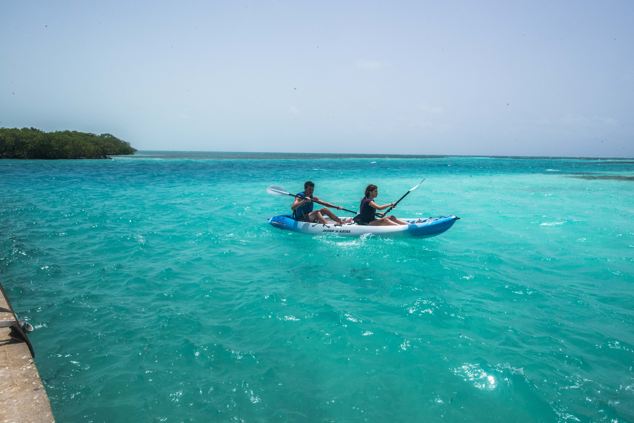 Éco-défi du récif du lagon d'Ambergris Caye 2018