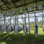 Pasen vieren in Belize | Burrell Boom Castleton Derby