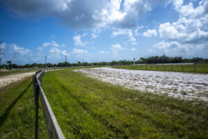 Célébrer Pâques au Belize | Burrell Boom Castleton Derby | 3