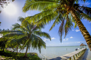 Pourquoi le Belize est la destination ultime de l'écotourisme |7