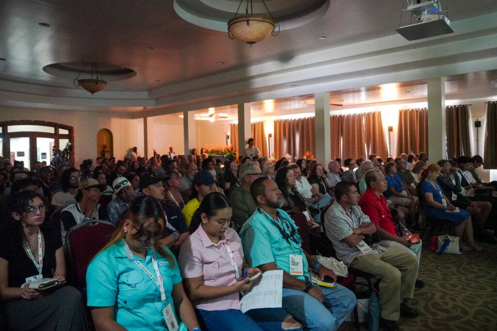 Travel Belize