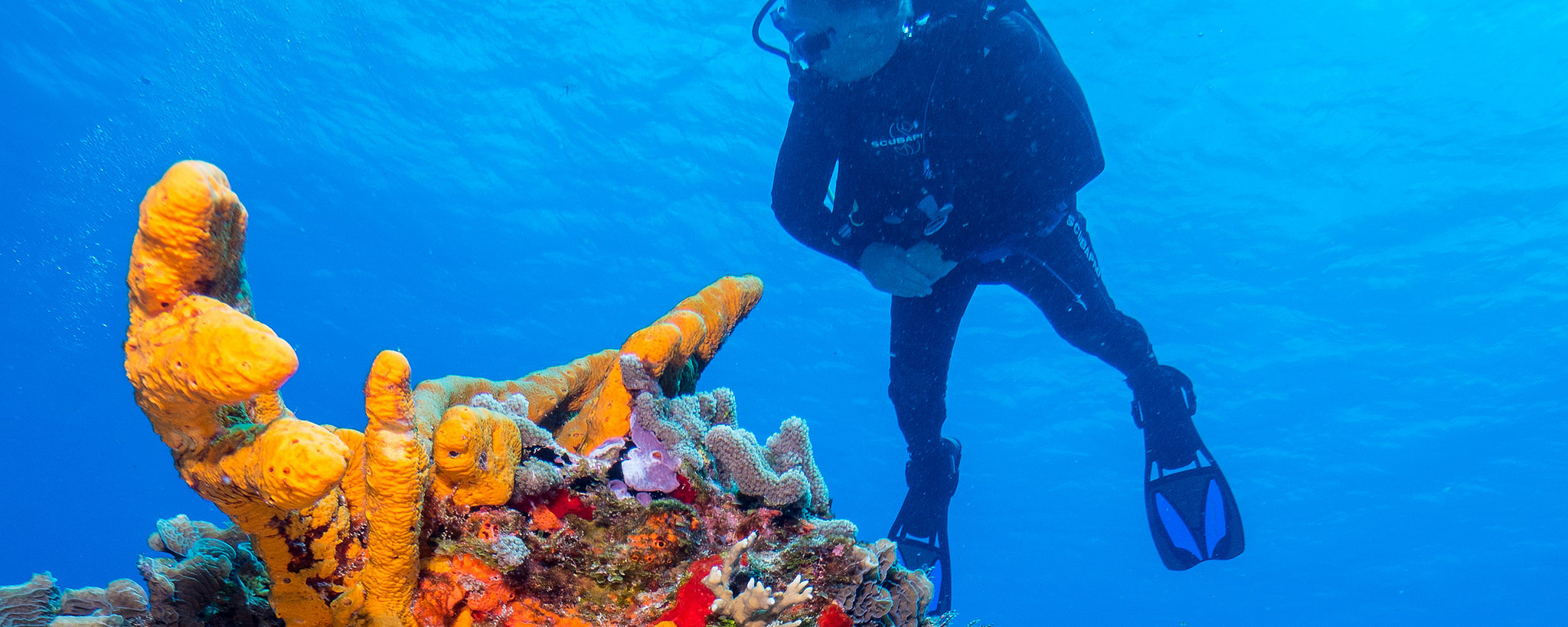 Belize in drei &quot;Best of 2018&quot;-Listen aufgeführt| Barrier Reef