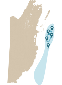 Barrera de coral de Belice