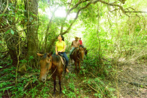 Belize Spring Break | Reiten