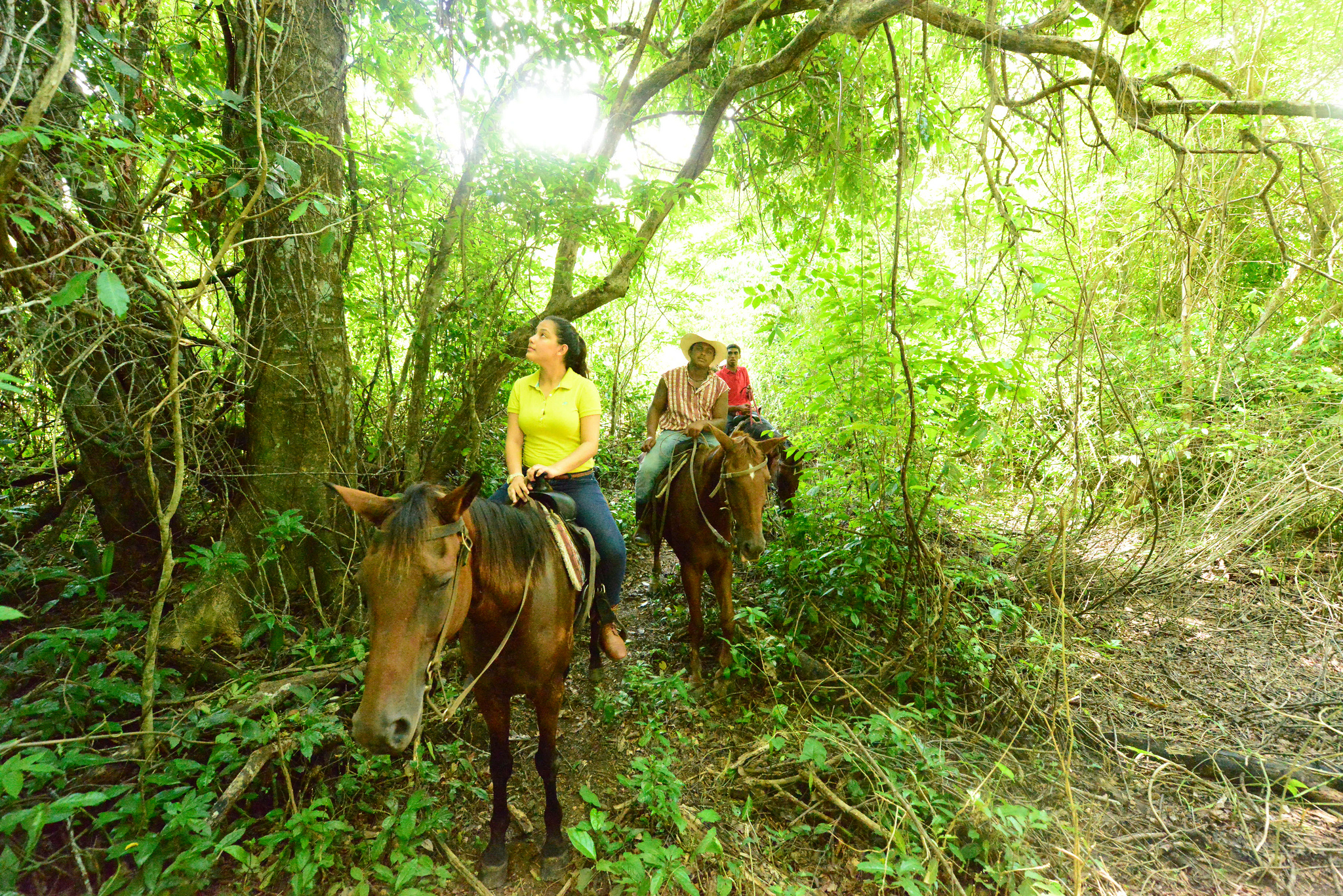 Belize Spring Break | Equitação