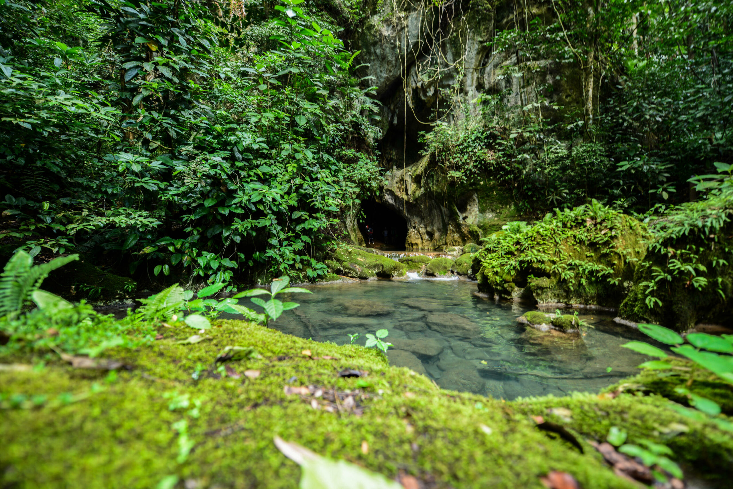 Doses e doações em cavernas ATM 2