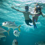 Two snorkelers observing fish at Bacalar Chico in Ambergris Caye