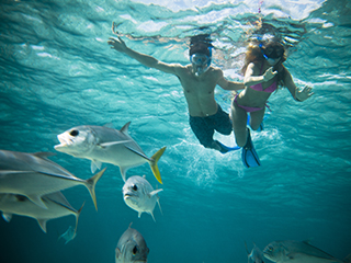 Zwei Schnorchler beobachten Fische am Bacalar Chico in Ambergris Caye