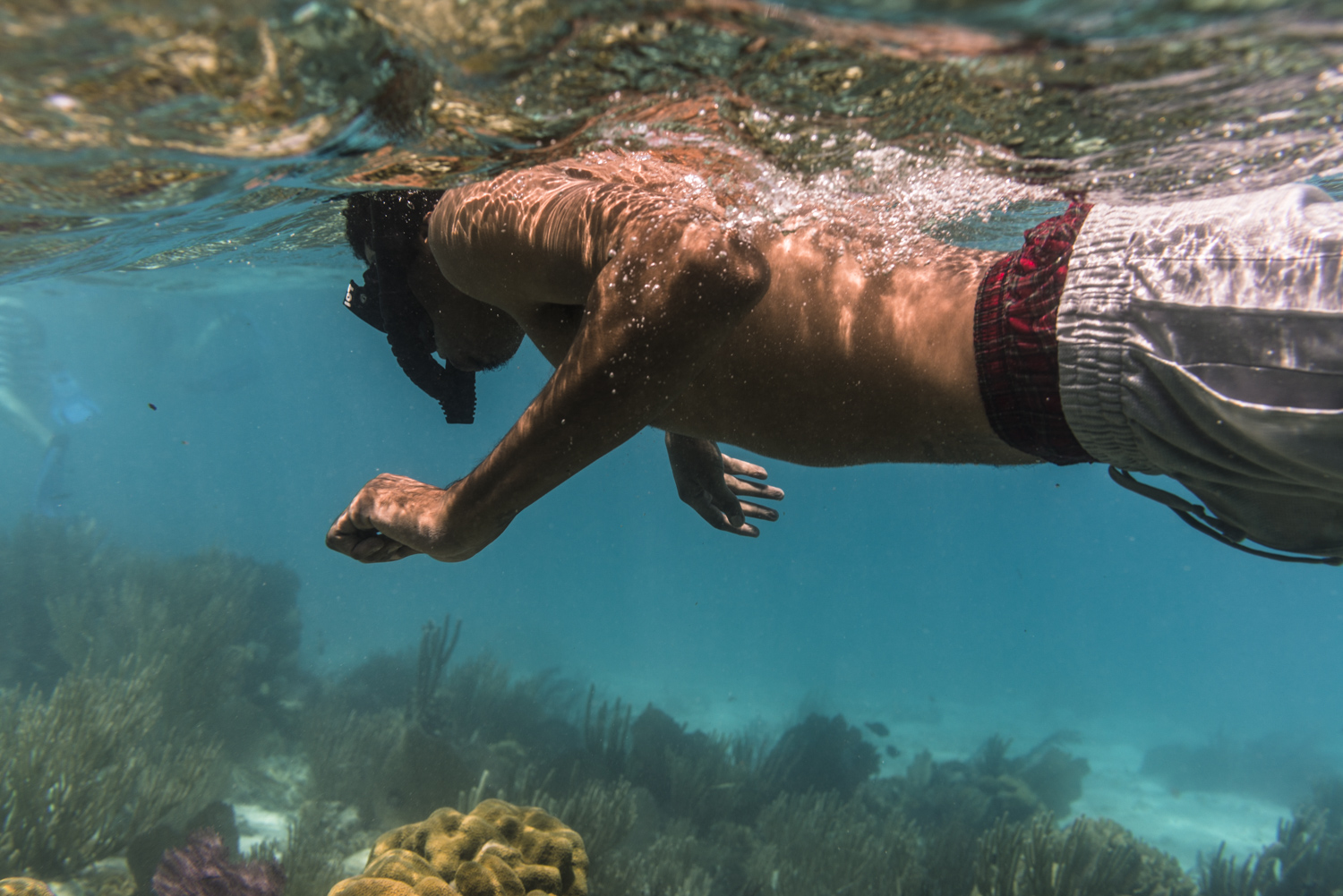 A snorkeler exploring the Mexico Rock, one of many things to do in Ambergris Caye