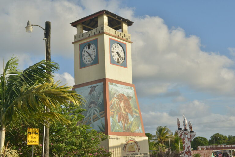 Punta Gorda Town