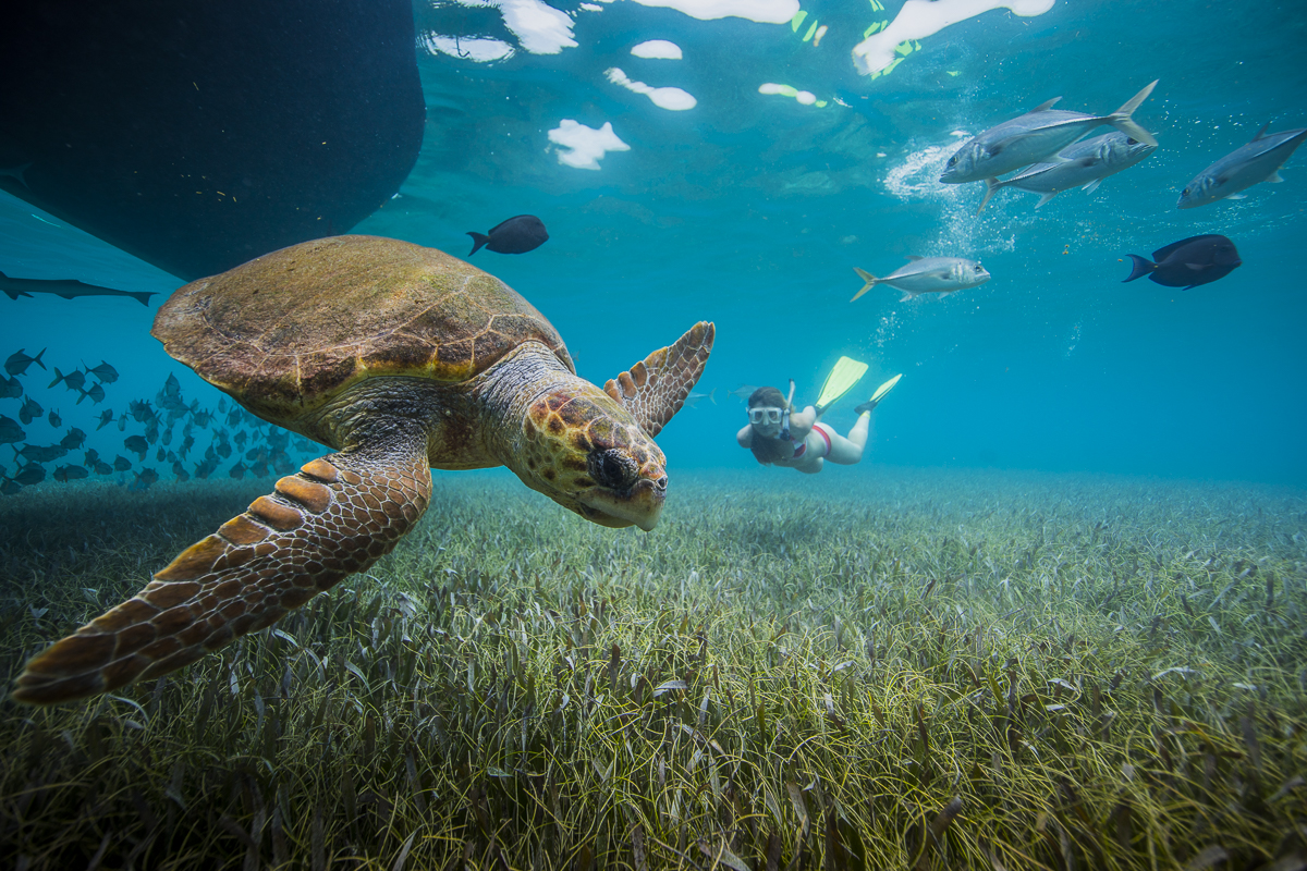 6 Cayes, die nicht Caye Caulker oder Ambergris Caye sind | 2