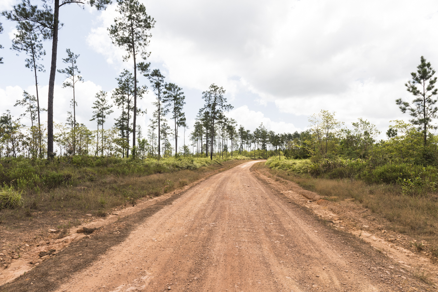 mountain pine ridge belize | places to social distance