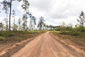 mountain pine ridge belice | lugares a distancia social 2