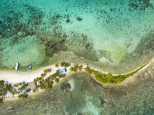 Lachender Vogel Caye Belize Insel