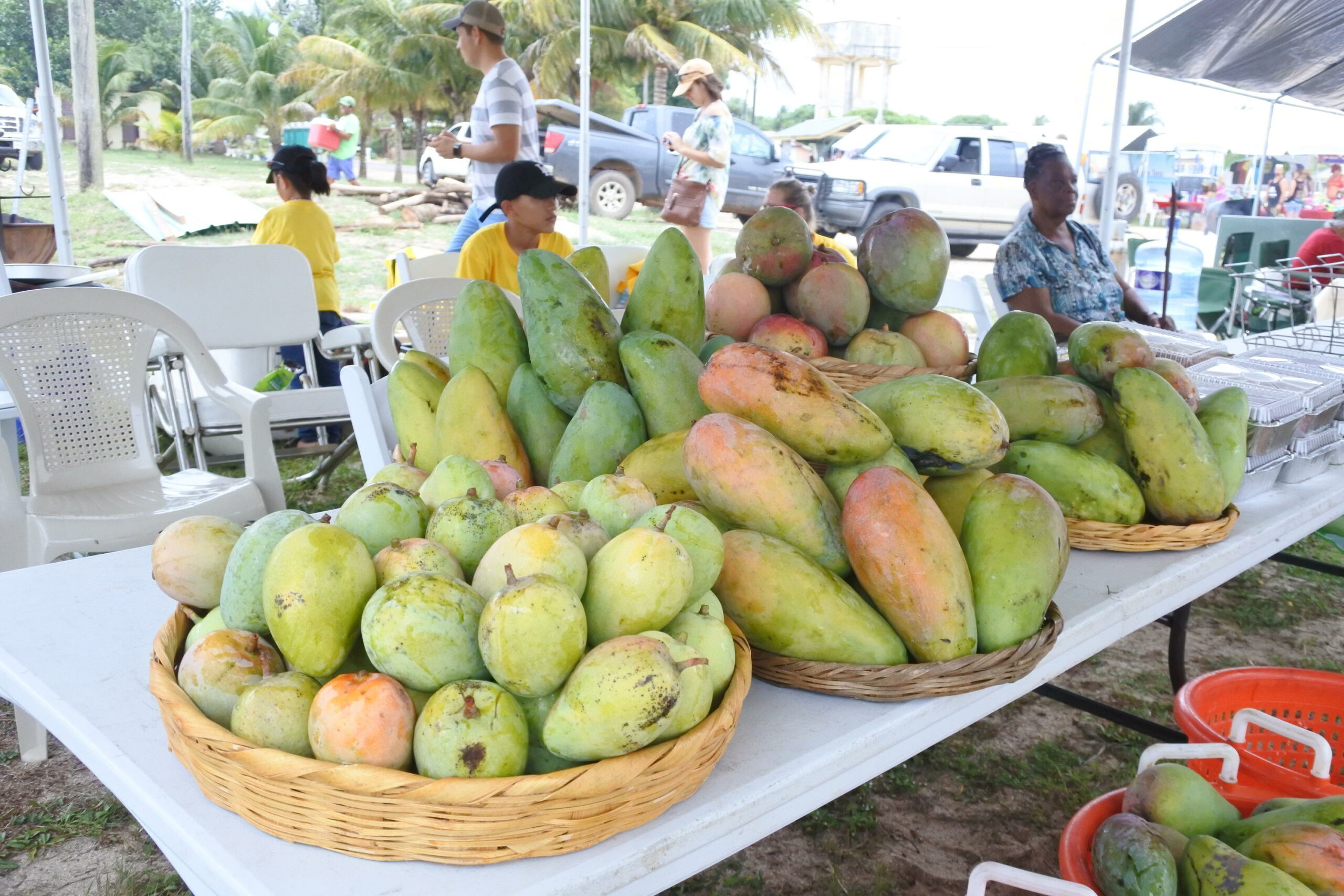 Mangofeest 2019