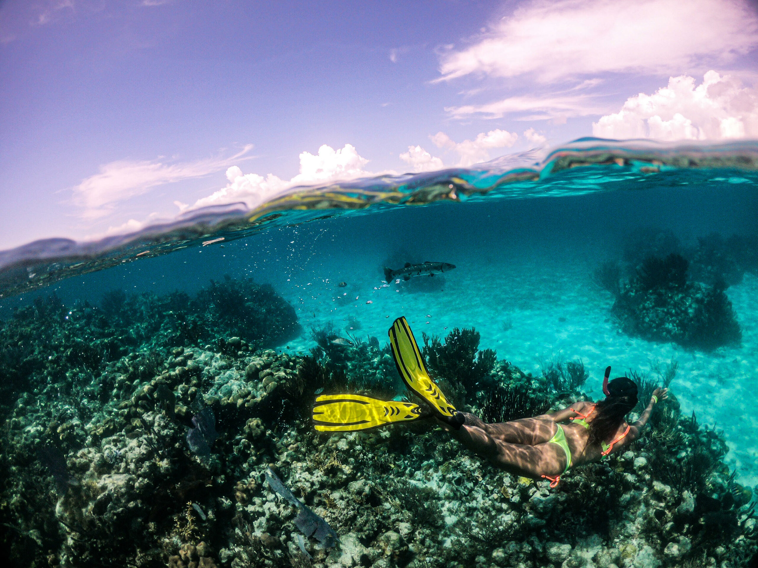 Les meilleurs endroits au Belize pour découvrir la vie marine 6