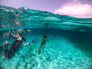 Top Places in Belize to Experience Marine Life  5