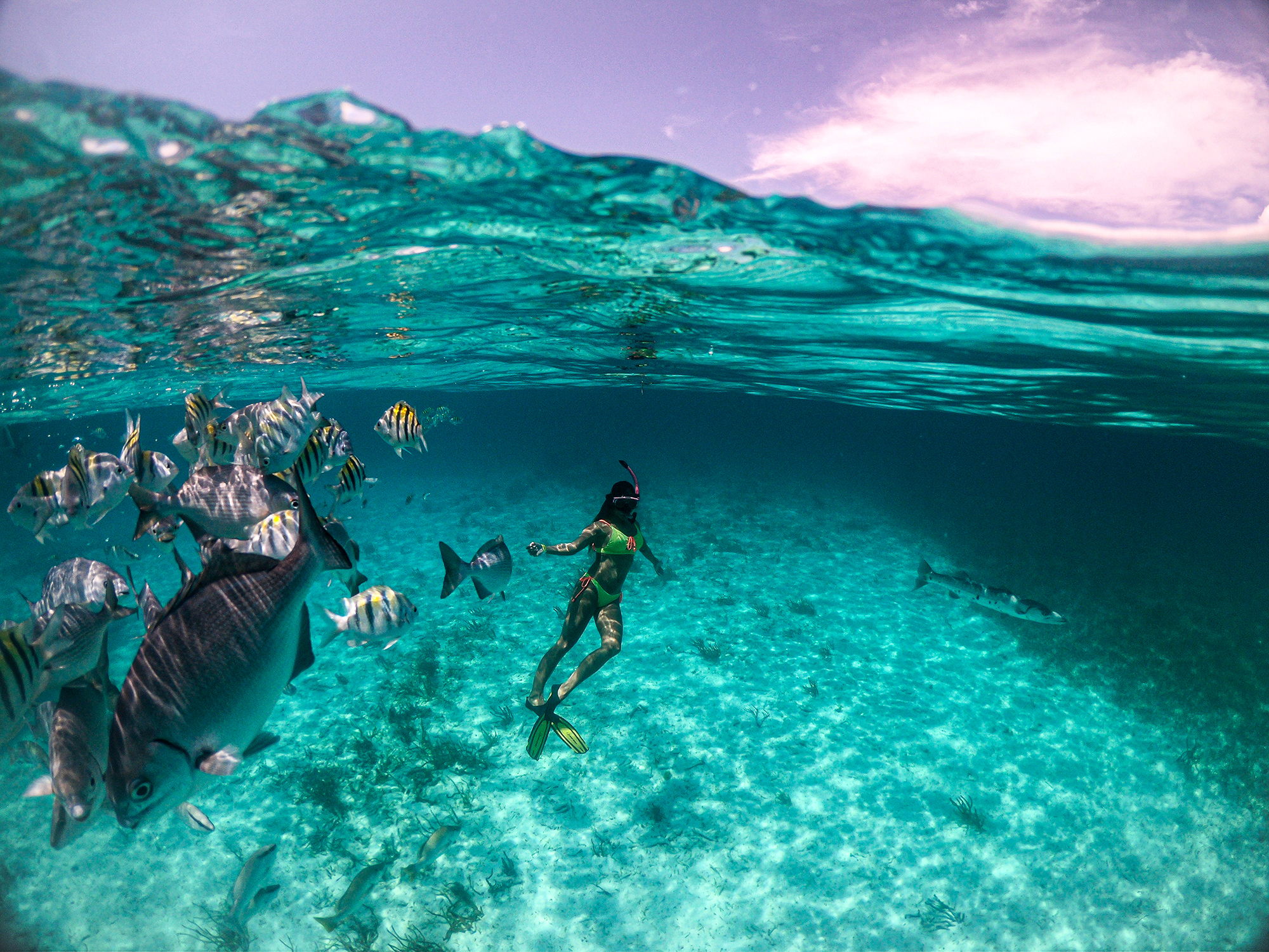 Les meilleurs endroits au Belize pour découvrir la vie marine 5