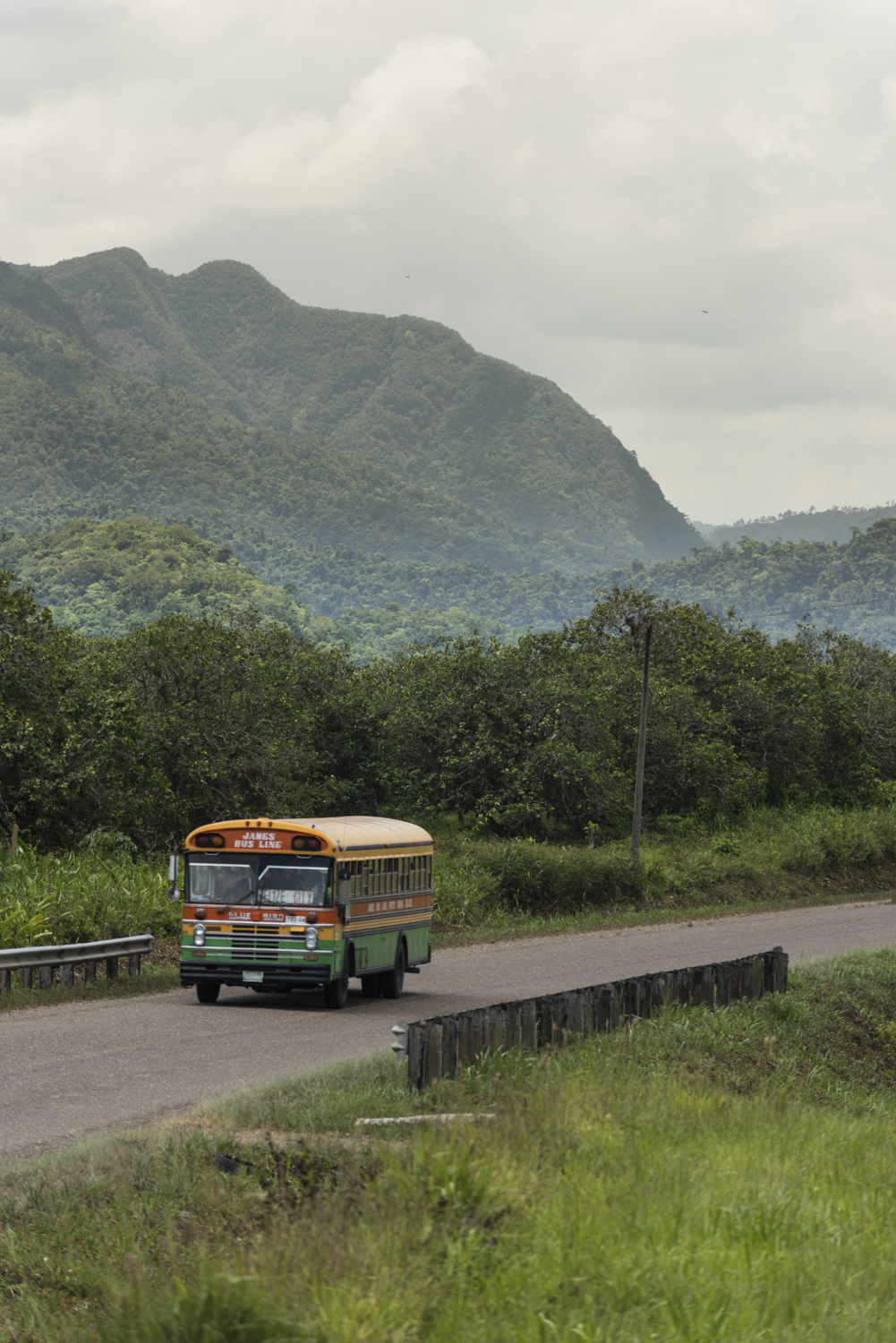 Colibri Les lieux de photographie les plus populaires du Belize selon Instagram.