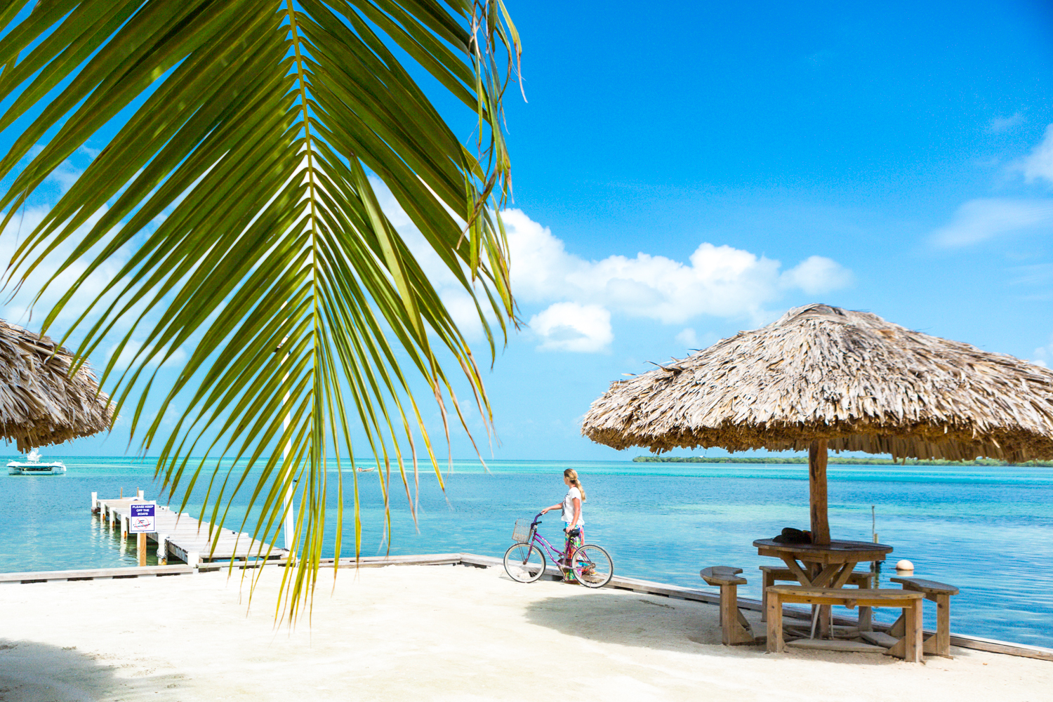 belize travel health insurance $18