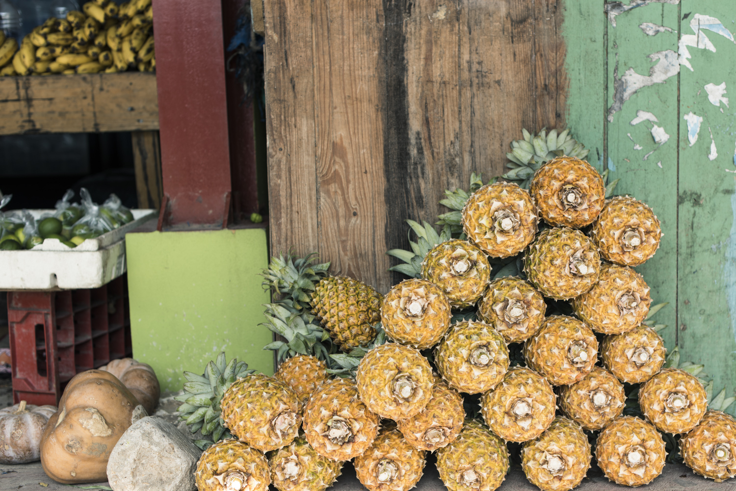 alimentación sostenible en belice 1