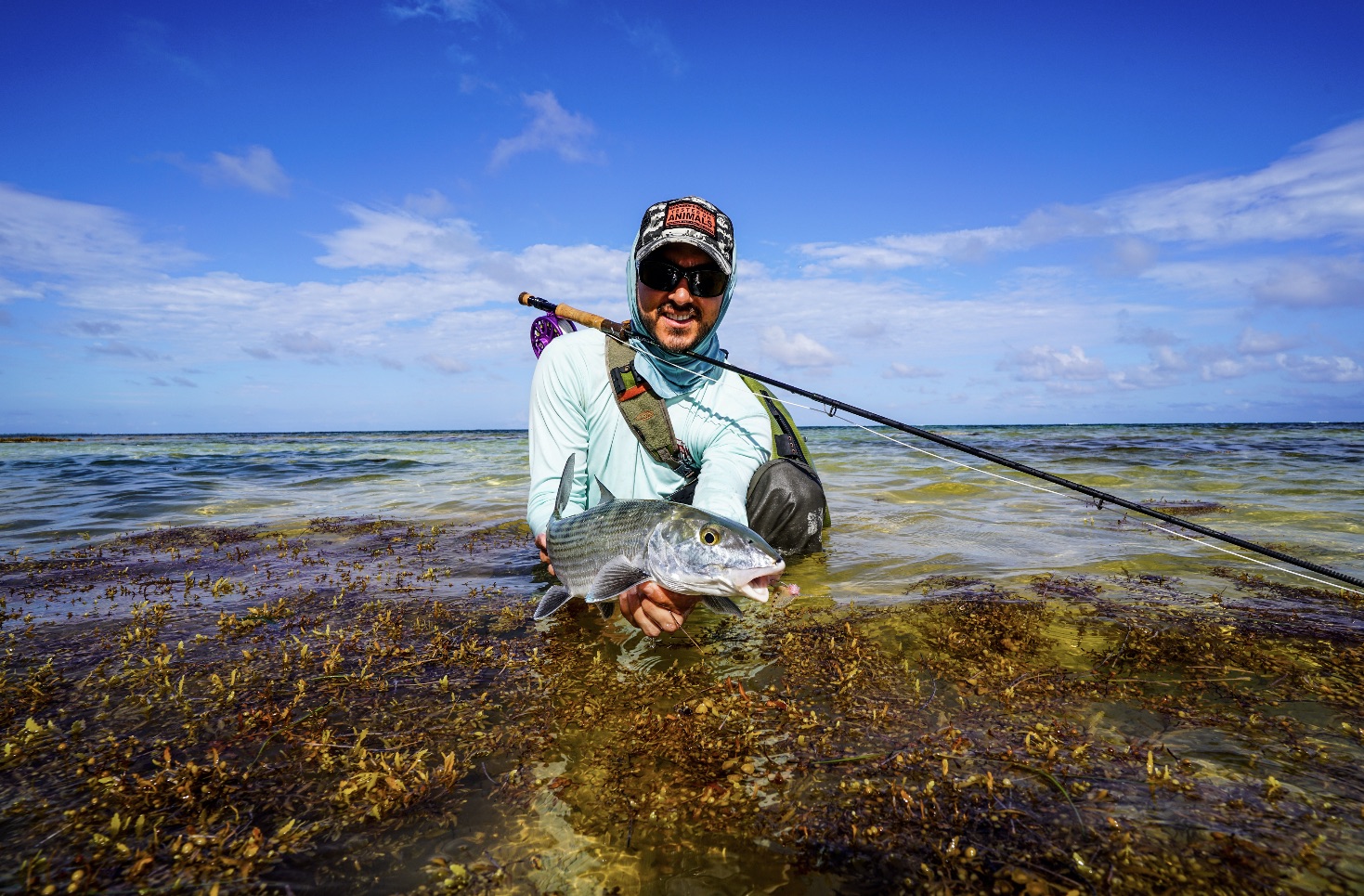 Vliegvissen in Belize Ambergris Caye | 0