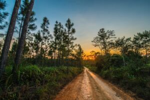 Baden im Wald in Belize | 2