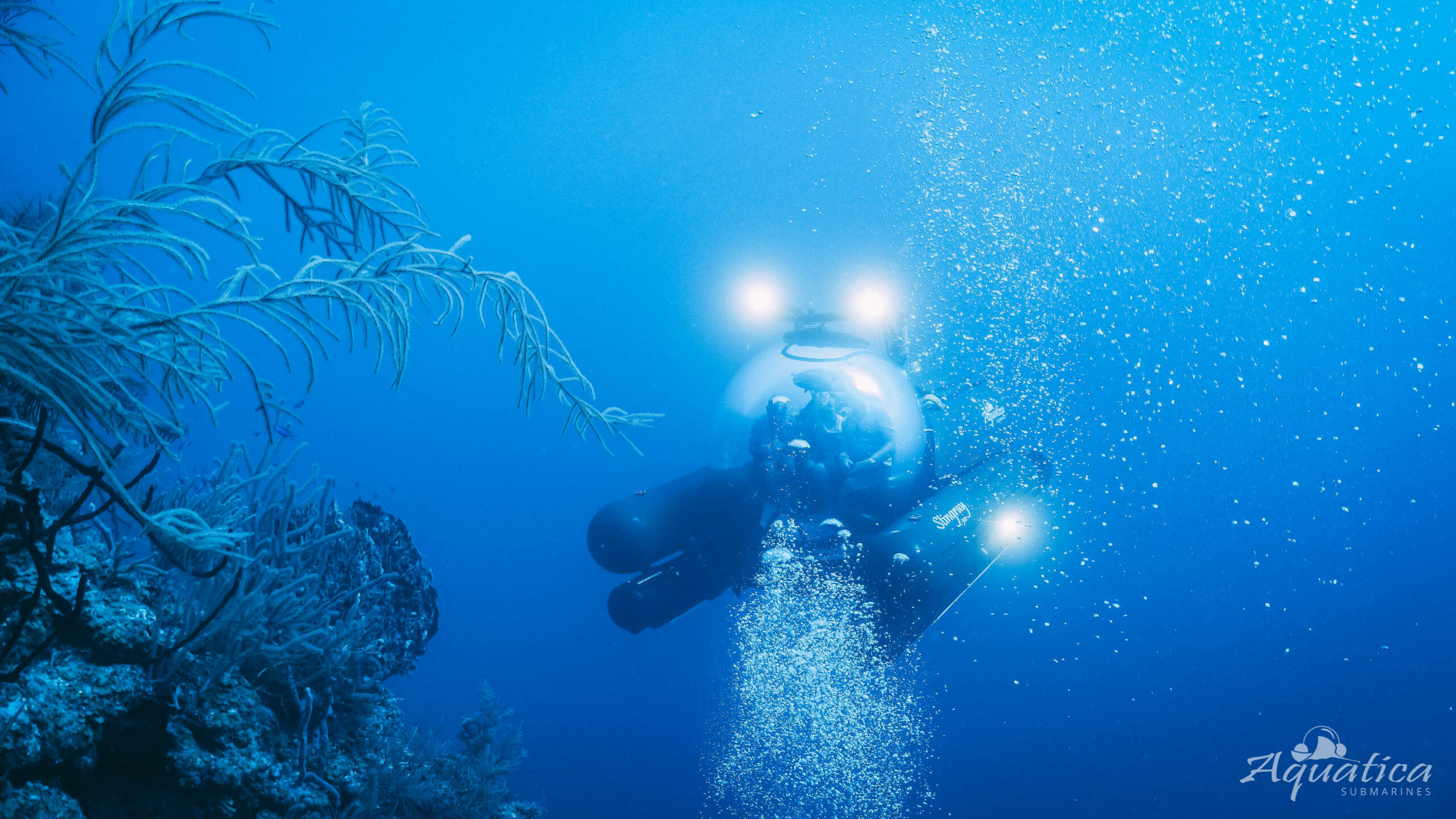 藍洞遠征水族潛艇1