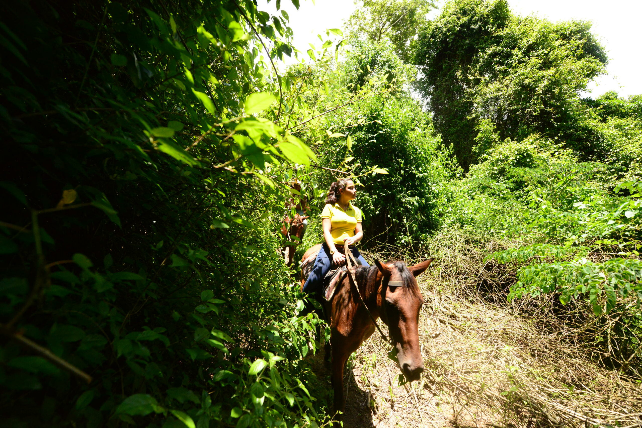 5 tips for your first belize trip