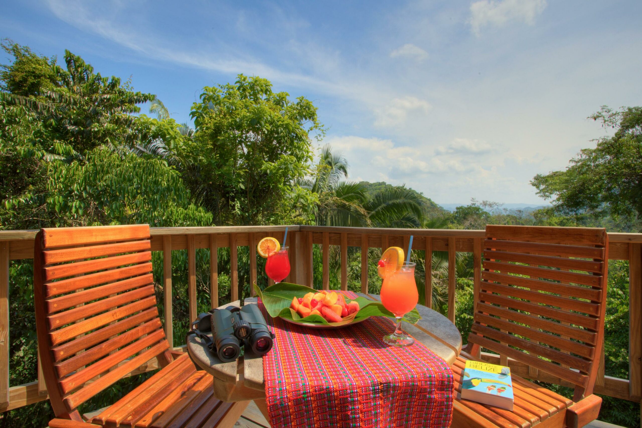 Canopy Treehouse