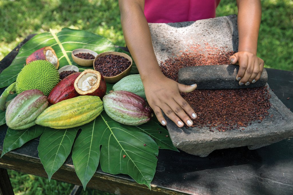 Fabrication traditionnelle de chocolat maya