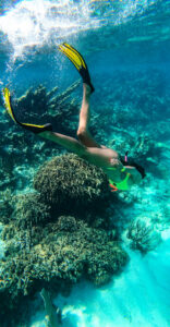 snorkel no recife da barreira de Belize 2