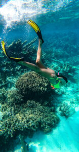 snorkel in belize barrier reef  2