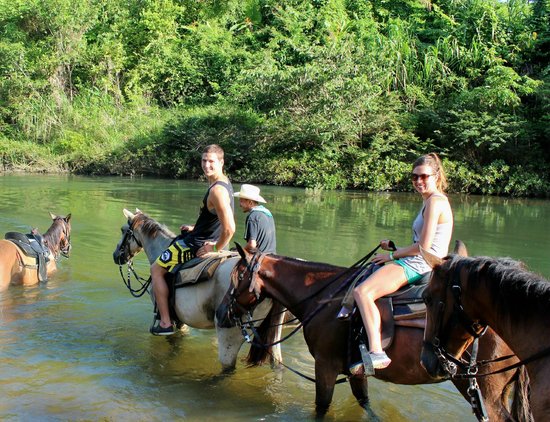 passeios a cavalo na selva em belize