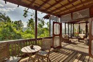 Canopy Treehouse