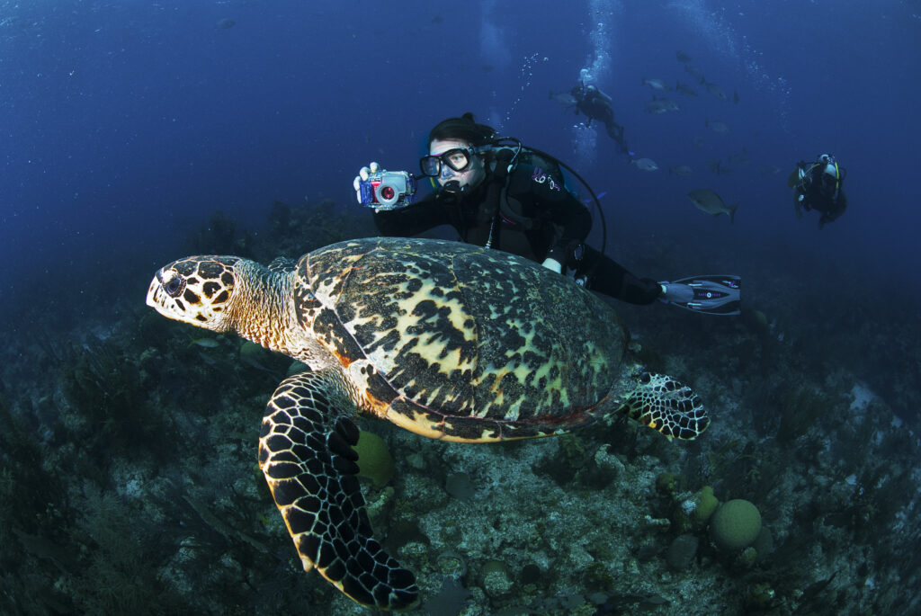 Diver at Lighthouse Reef Atoll