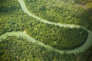 Agua y vida silvestre