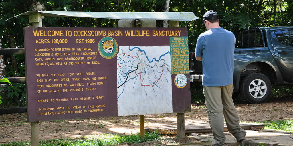 Bienvenue au sanctuaire de la faune du bassin de Cockscomb