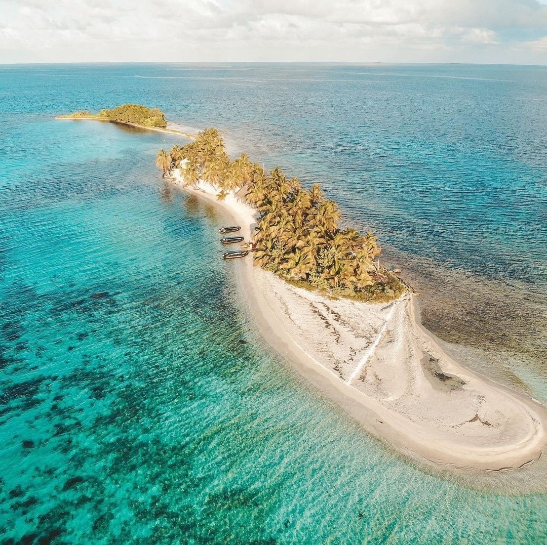 笑鳥島🏝是珊瑚苗圃，鳥類和各種魚類的所在地，是浮潛和R&amp;R的好地方。將其添加到您的環島遊行程中，從普拉森西亞乘船輕鬆到達！📸 #travelbelize： @lalarebelo