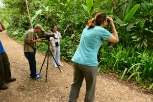 Observation des oiseaux au Belize
