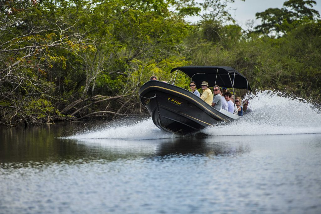 4 divertidas aventuras para explorar Belice en un crucero - Safari fluvial - Lamanai