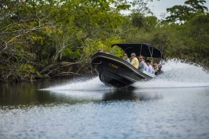 4 aventures amusantes pour explorer le Belize lors d'une croisière - Safari fluvial - Lamanai